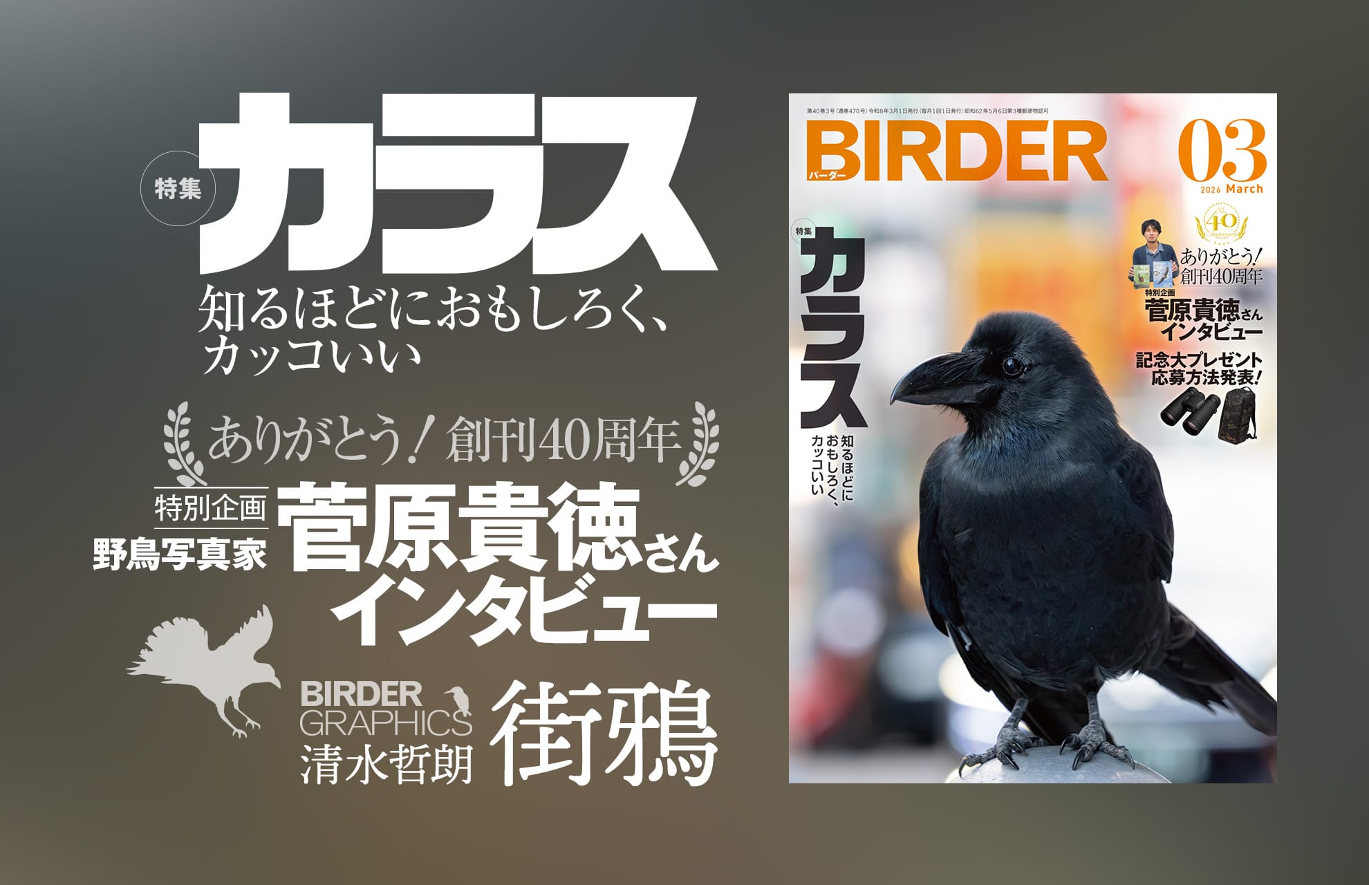 BIRDER最新号