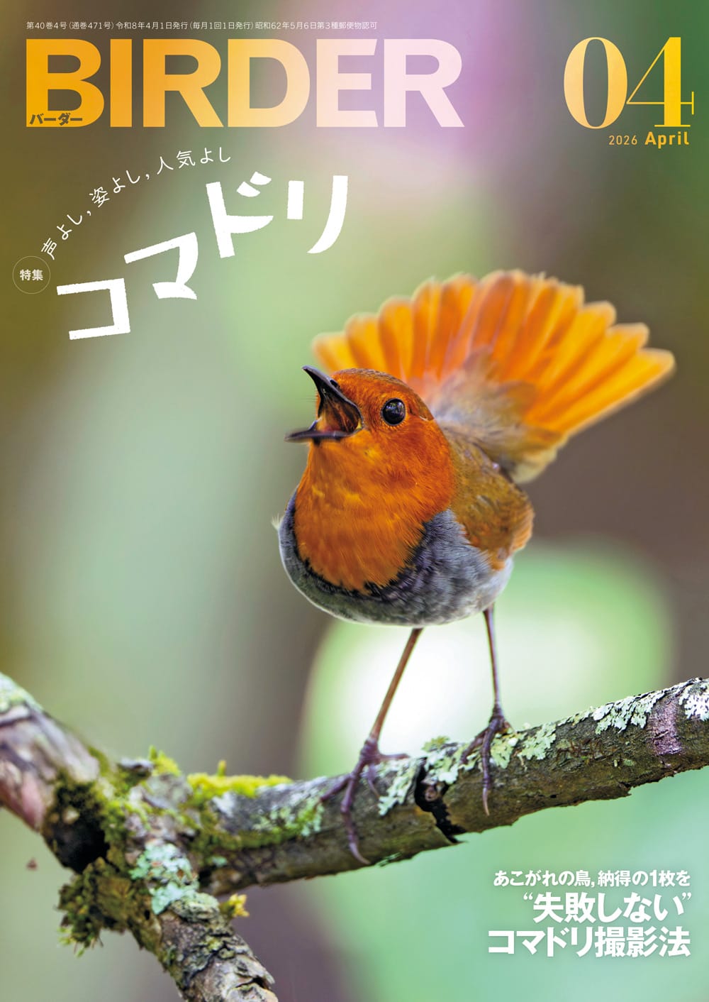 BIRDER（バーダー） 2026年4月号