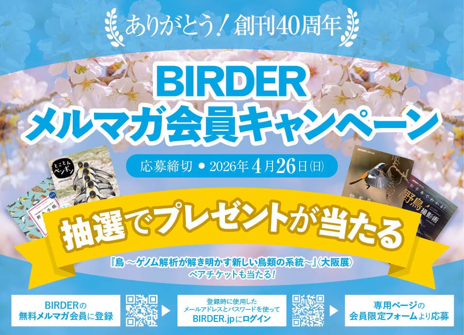 BIRDERメルマガ会員キャンペーン