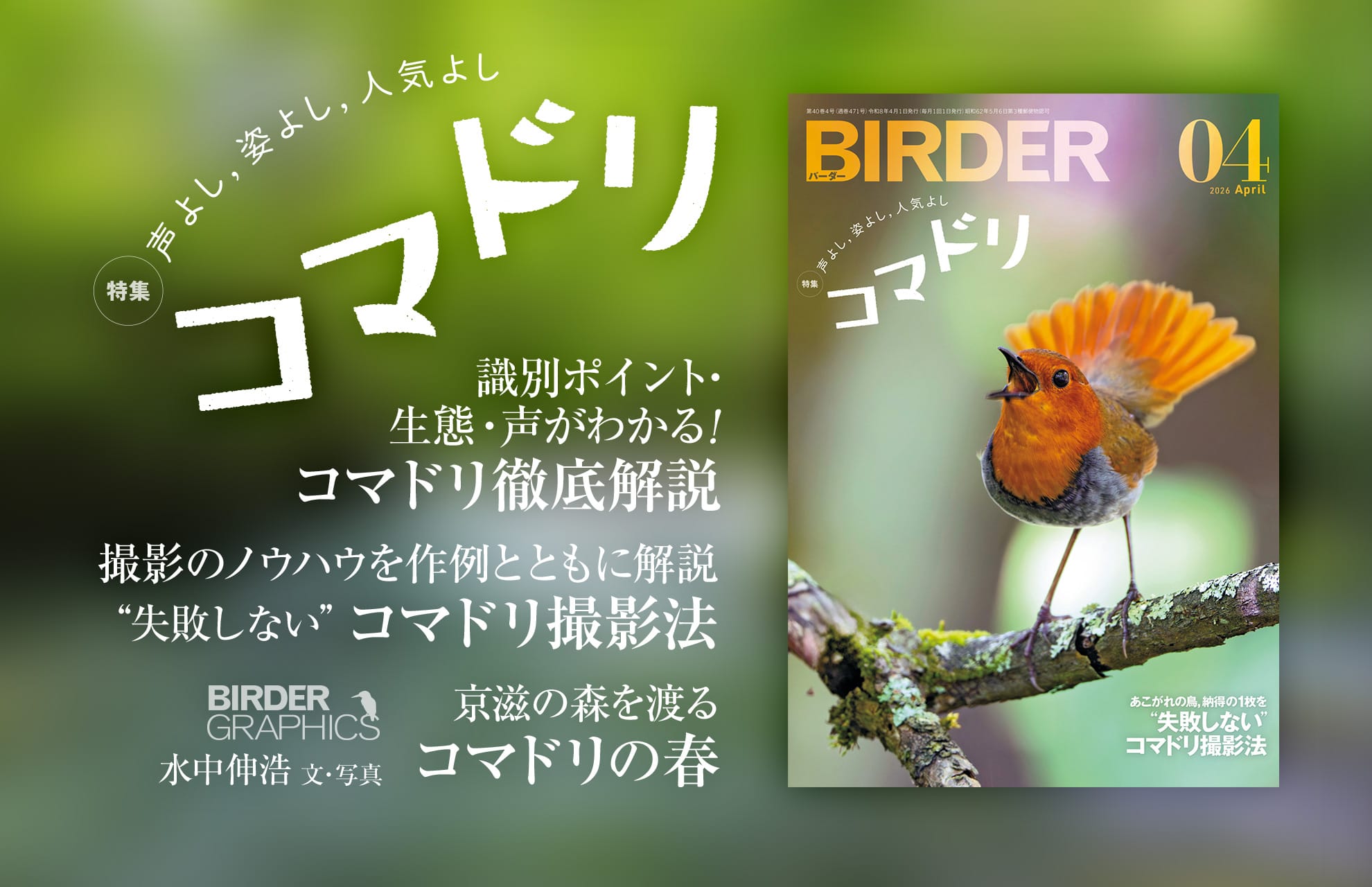 BIRDER最新号
