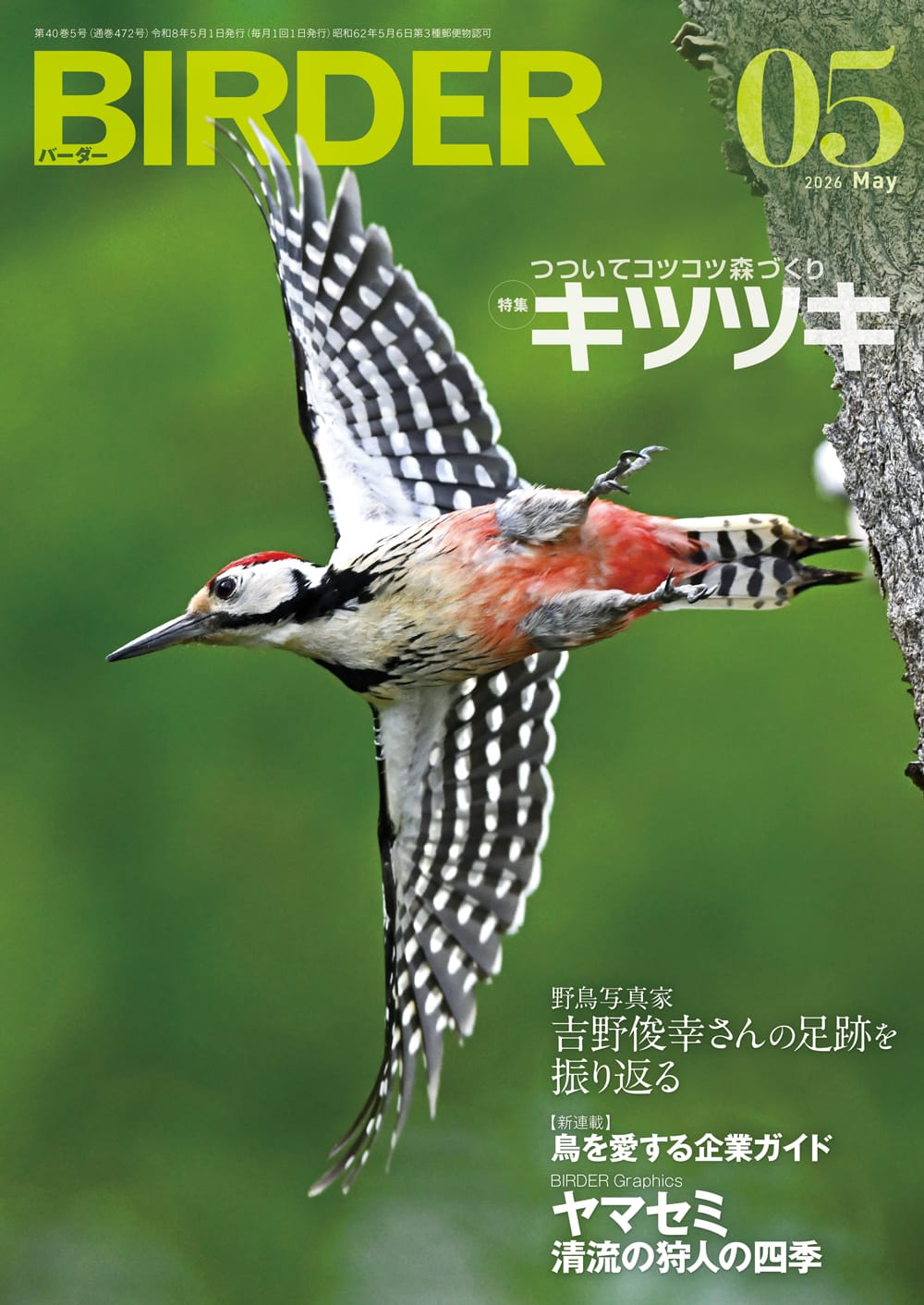 BIRDER（バーダー） 2026年5月号