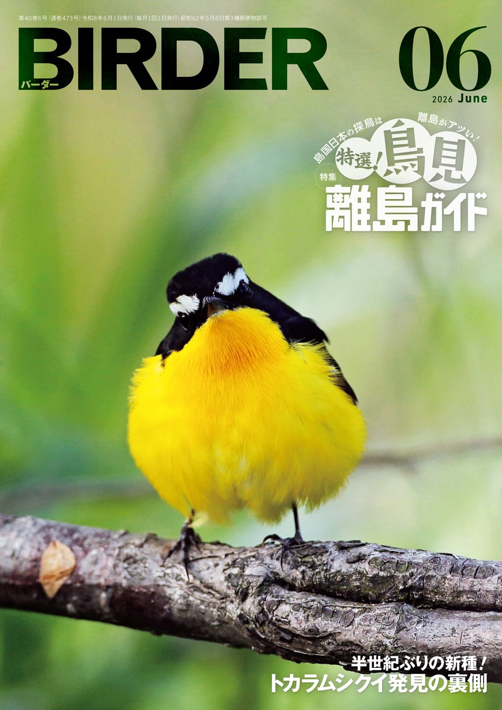 BIRDER（バーダー） 2026年6月号
