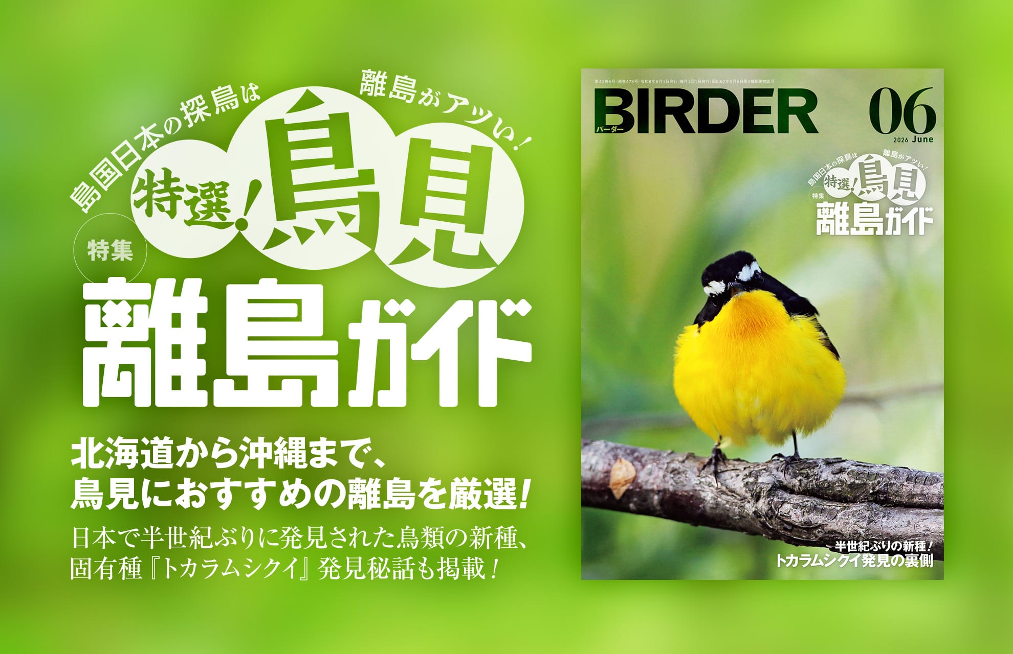 BIRDER最新号