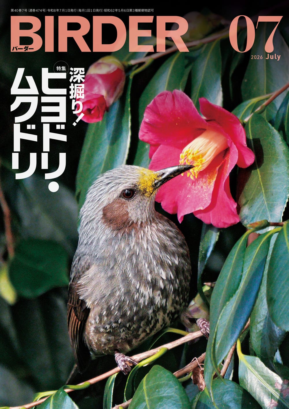 BIRDER.jp (Page 1)