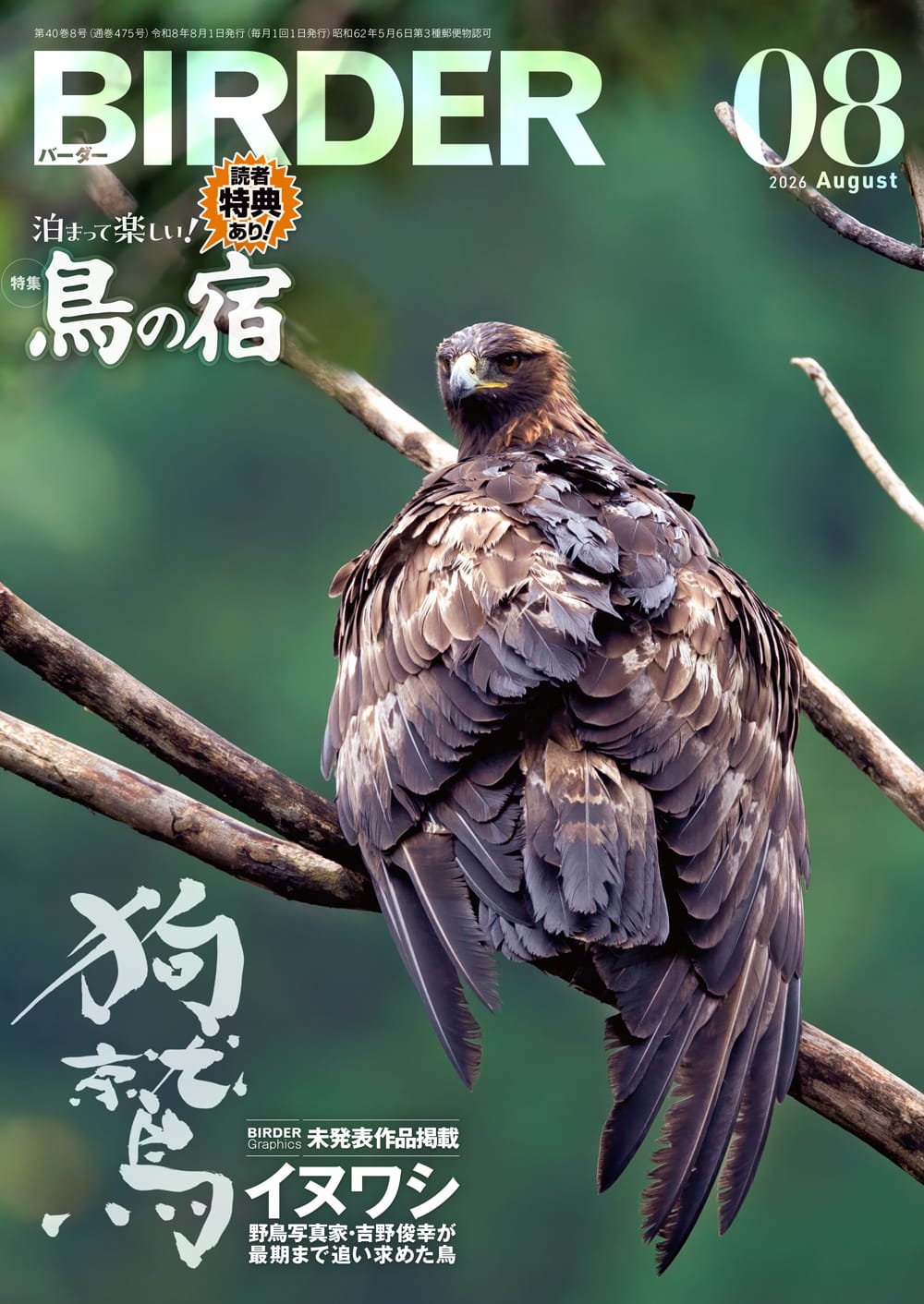 BIRDER（バーダー） 2026年8月号