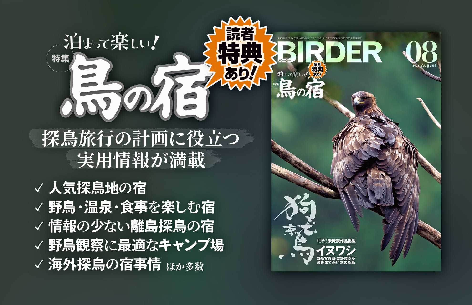 BIRDER最新号