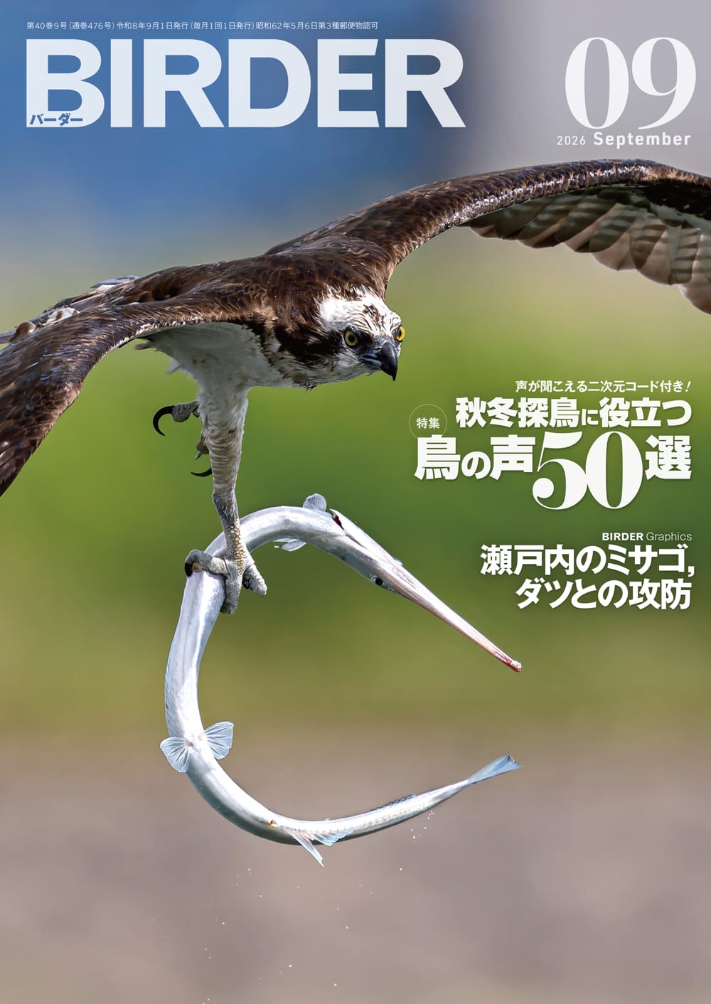 BIRDER（バーダー） 2026年9月号