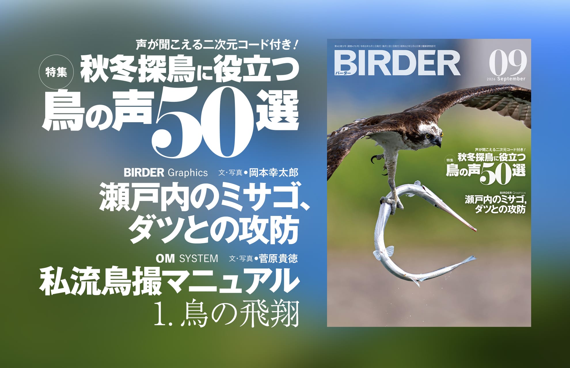 BIRDER最新号