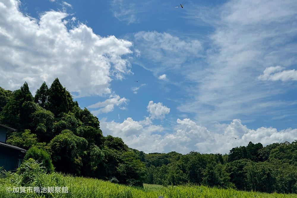 加賀市鴨池観察館