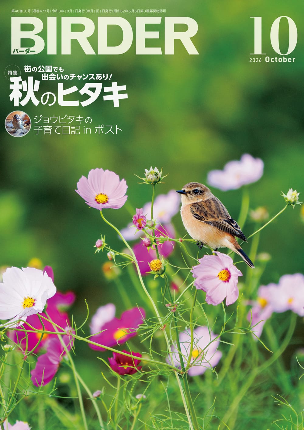 BIRDER（バーダー） 2026年10月号