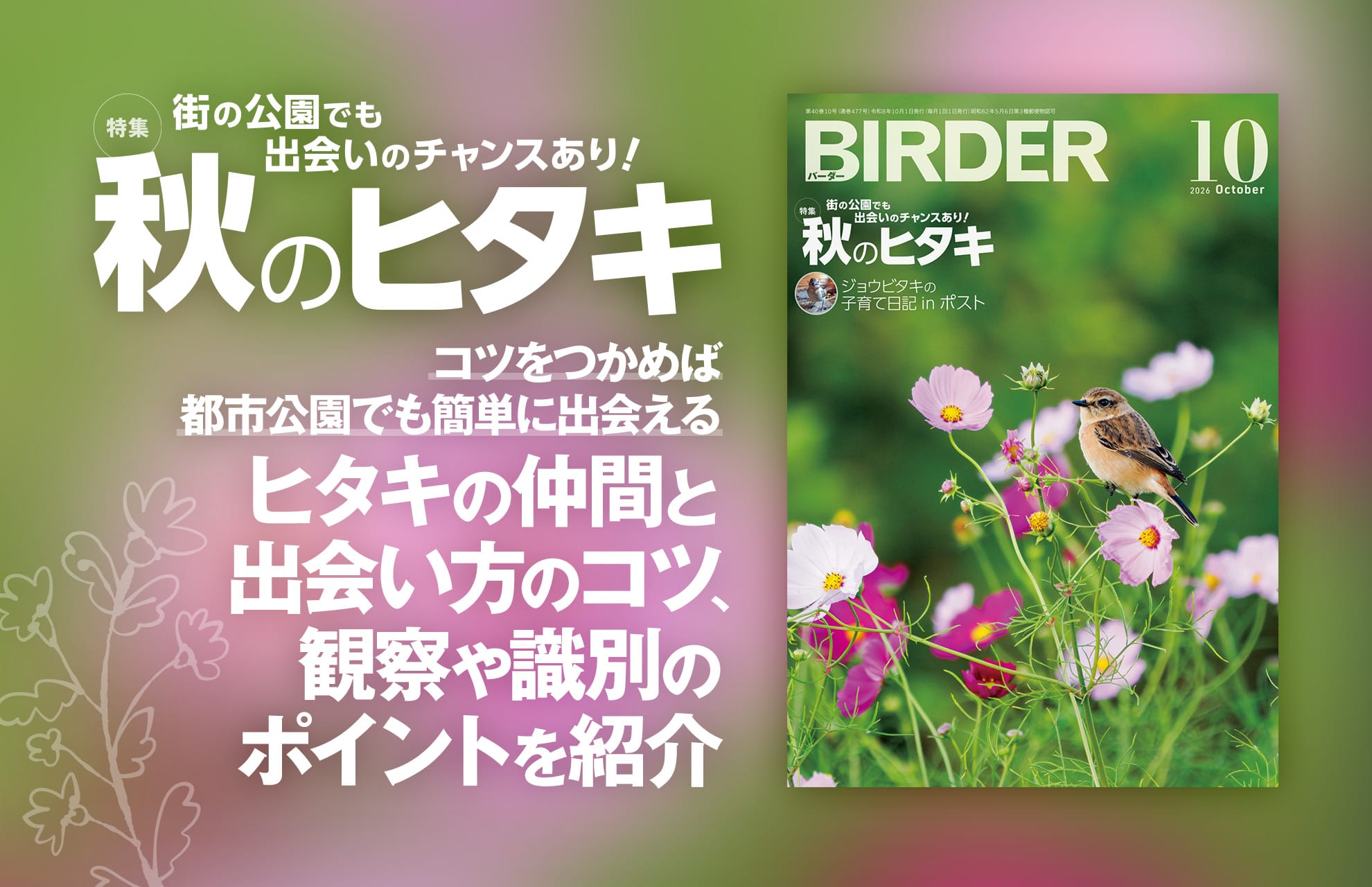 BIRDER最新号