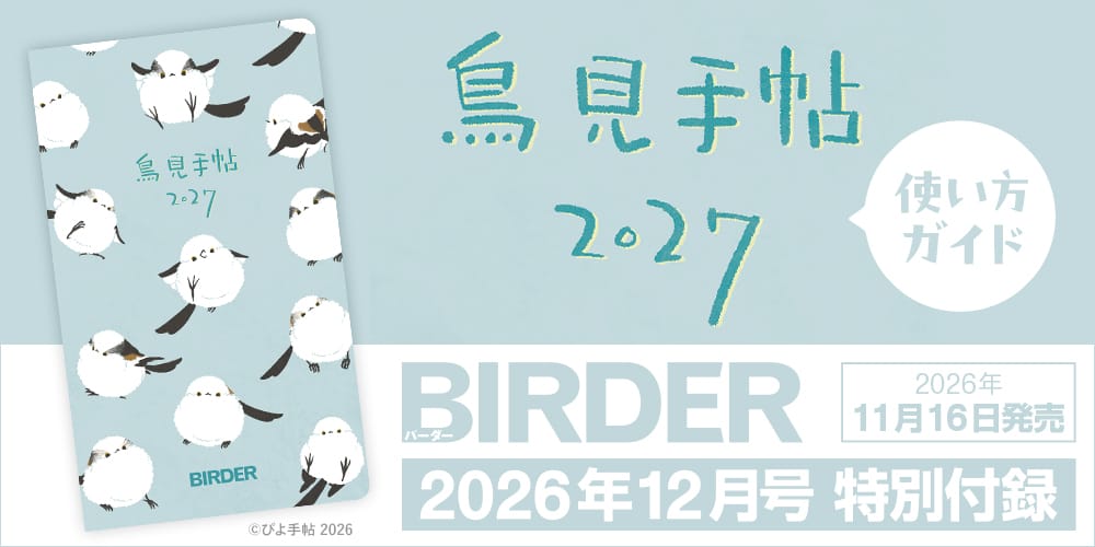 鳥見手帖2027 使い方ガイド