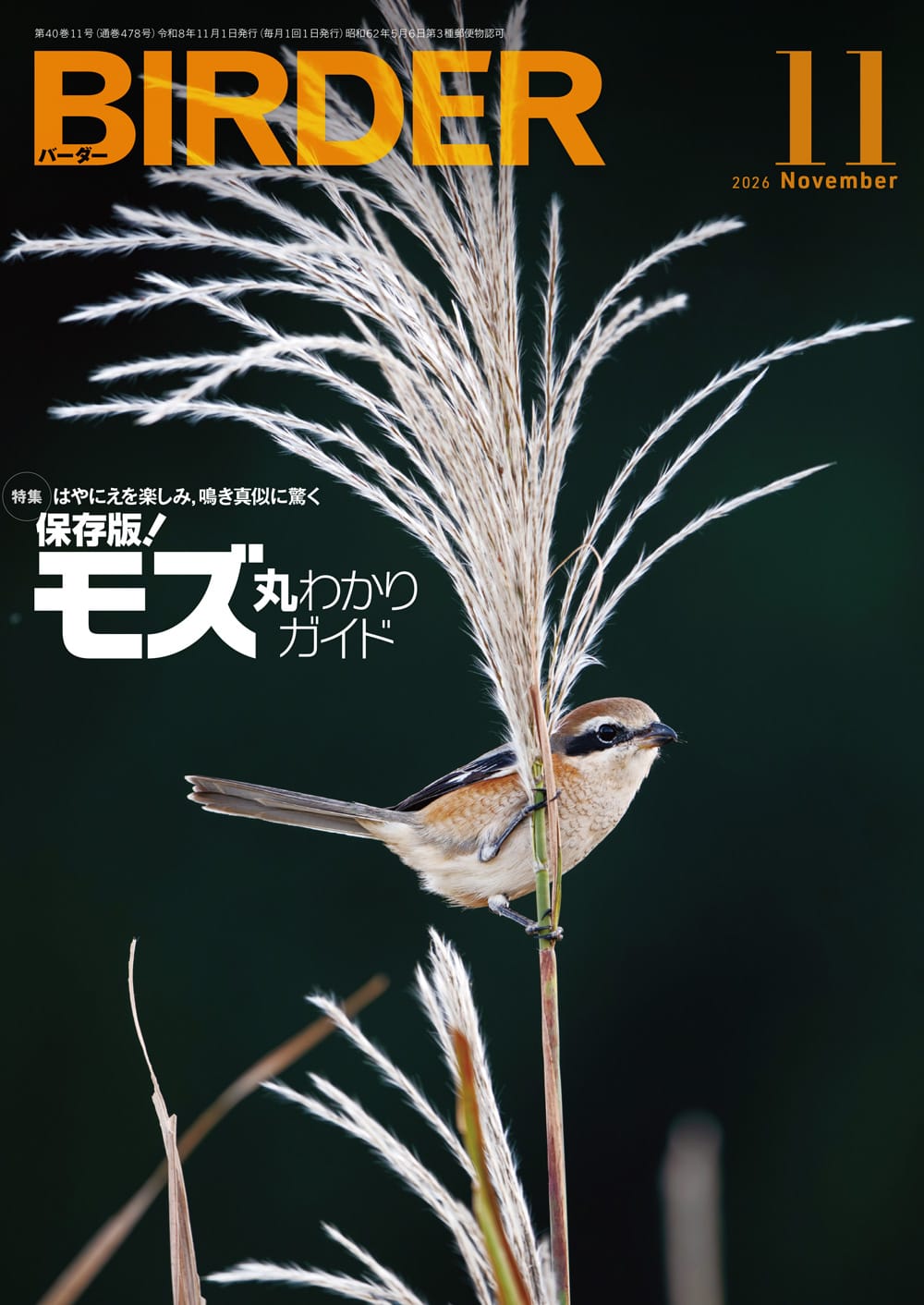 BIRDER（バーダー） 2026年11月号