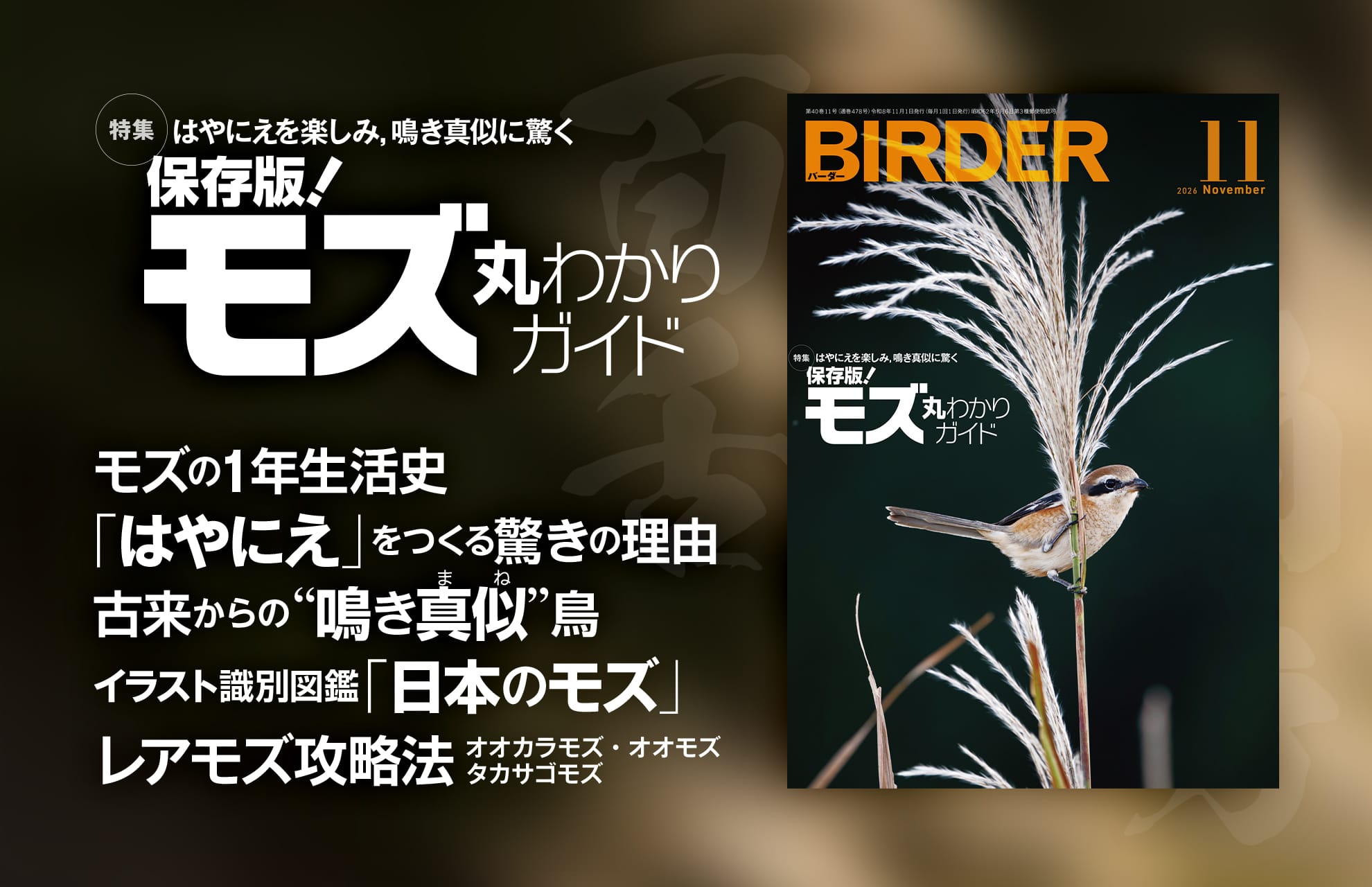 BIRDER最新号